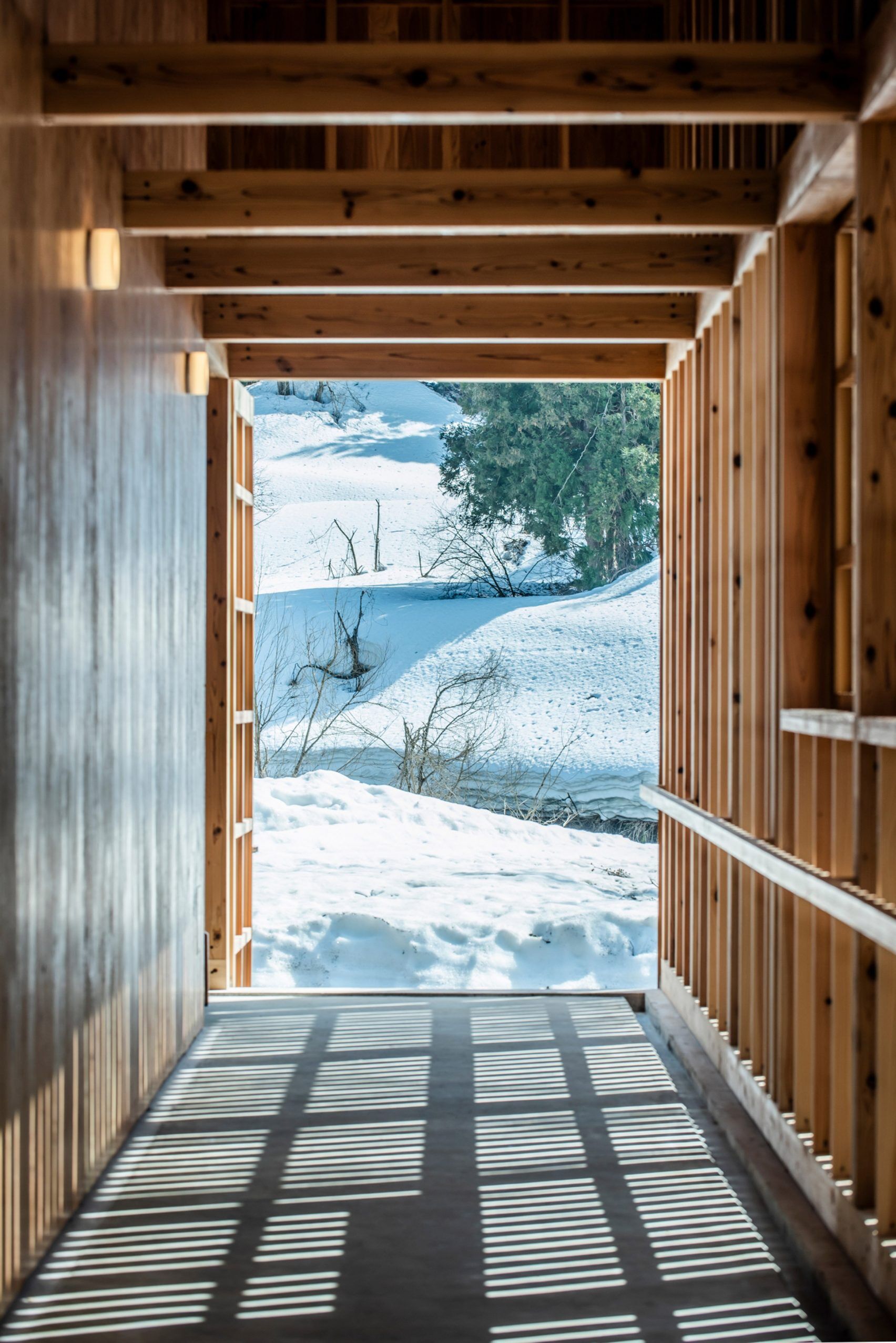Exploring Revolutionary Structures in Sustainable Design